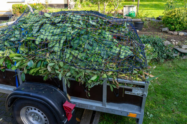 Best Mattress Disposal  in Belvidere, IL